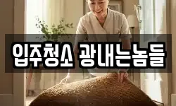 입주청소 광내는놈들