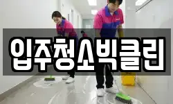 입주청소빅클린