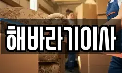 전북특별자치도 익산시 목천동 이사,용달이사,포장이사,원룸이사,보관이사