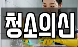 청소의신
