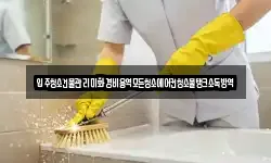 전북특별자치도 익산시 삼기면 청소,입주청소,사무실청소,에어컨청소
