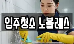 입주청소 노블레스