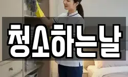 청소하는날