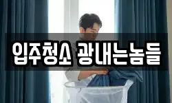 입주청소 광내는놈들