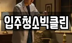 입주청소빅클린