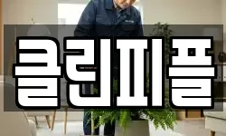 클린피플