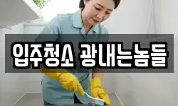 입주청소 광내는놈들