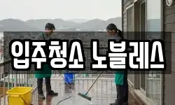입주청소 노블레스