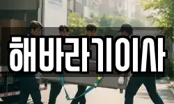 해바라기이사