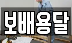 보배용달