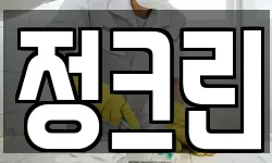 정크린