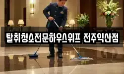 탈취청소전문하우스위프 전주익산점