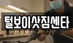전북특별자치도 익산시 중앙동2가 이사,용달이사,포장이사,원룸이사,보관이사