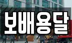 보배용달