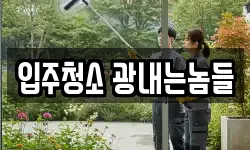 입주청소 광내는놈들