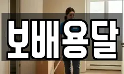 보배용달