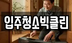 입주청소빅클린