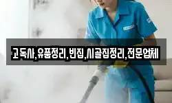 고독사,유품정리,빈집,시골집정리,전문업체