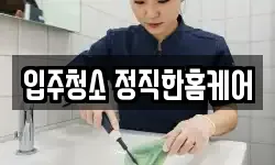 입주청소 정직한홈케어