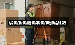 입주청소이사청소원룸청소식당청소사무실청소업체,핑크