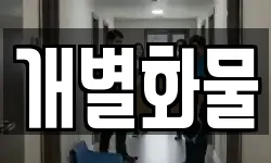 개별화물