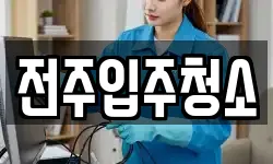 전주입주청소