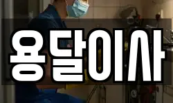 용달이사