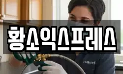 황소익스프레스