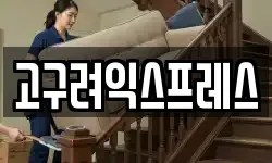 고구려익스프레스