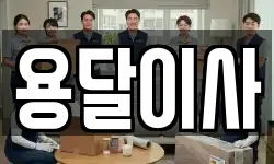 용달이사