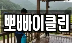 뽀빠이클린