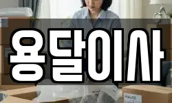 용달이사