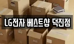 LG전자 베스트샵 덕진점