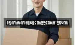 용달이사소형이사원룸투룸오피스텔반포장이사1톤트럭이사