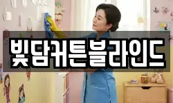 전북특별자치도 전주시 덕진구 도도동 청소,입주청소,사무실청소,에어컨청소