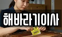 해바라기이사