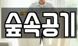 숲속공기