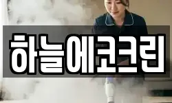 하늘에코크린