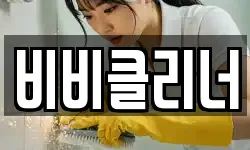 비비클리너