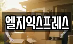 엘지익스프레스