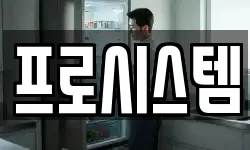 프로시스템