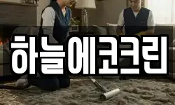 하늘에코크린