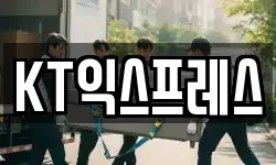 전북특별자치도 전주시 덕진구 여의동2가 이사,용달이사,포장이사,원룸이사,보관이사