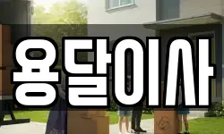 용달이사