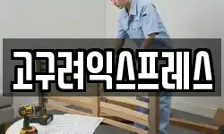 고구려익스프레스