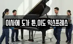 이사에 도가 튼,이도 익스프레스