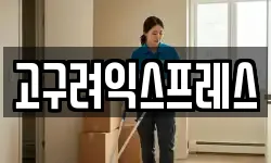고구려익스프레스
