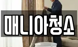 매니아청소