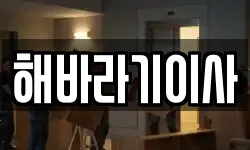 해바라기이사