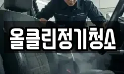 올클린정기청소